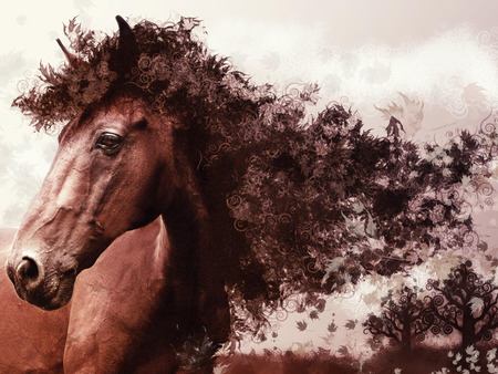 Horse - cavalo, stallion, horse, animals