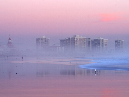 Foggy Morning - beaches, morning, houses, cities, animals, foggy, wawes, pink, architeture, red, blue, fog, gull, birds