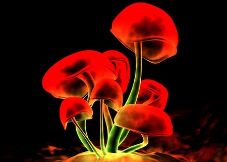 HolidayMushrooms. jpg - funky, mushrooms, colors, neon