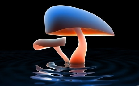 mushrooms lake wallpaper7224 1920x 1200. jpg - lake, mushroom, neon, two