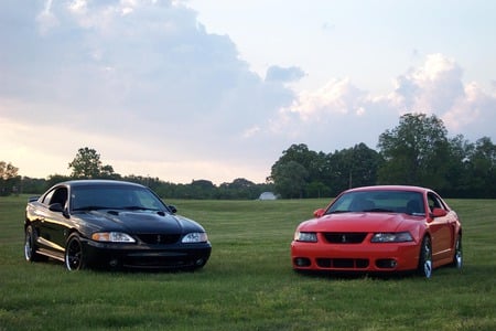 mustang - ford, car, mustang