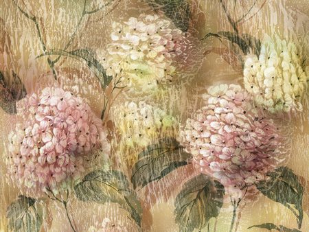 Hydrangea - painting, art, flower, pink