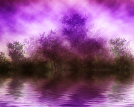 Purple moment - dark, forest, trees