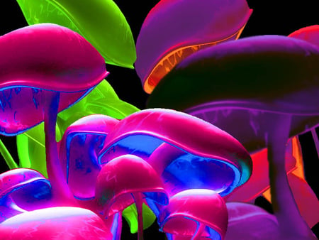 shrooms. jpg - colorful, funky, neon, psychedillec