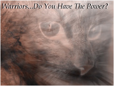 You Have Power Invert - cats, warriors, animals, inverted