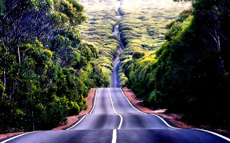 wides - street, nature, tree, green