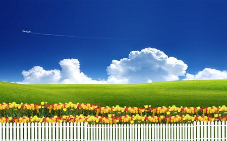 Flowers - abstract, fence, clouds, flowers, grass, airplane