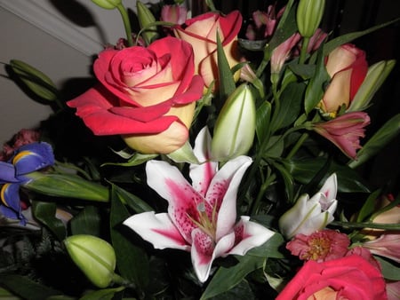 Anniversary - rose, stargazer, bouquet, lily