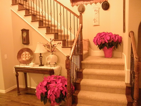 Welcome - home, poinsettia, christmas