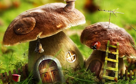 mushrooms-house - mushroom, other