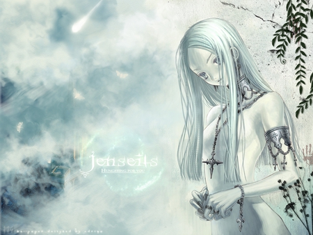 Jenseits - cute, hot, anime girl, girl, comet, white, mist, plant, anime, night, building, butterfly, sexy, female, house, shooting star, cross