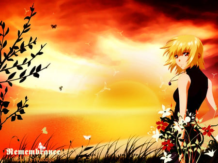 Remembrance - anime, female, sunrise, plant, red, sky, sun, anime girl, hot, girl, gundam, orange, flower, sunset, cloud, butterfly, cute, gundam seed, sexy