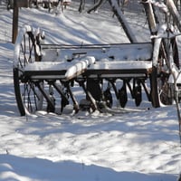 winter snow