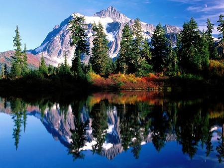 Mirrored Reflections - lake, landscape, trees, forest, mountians, water, blue sky, blue lake