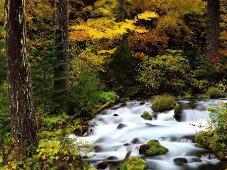 roaring river - mountain, river