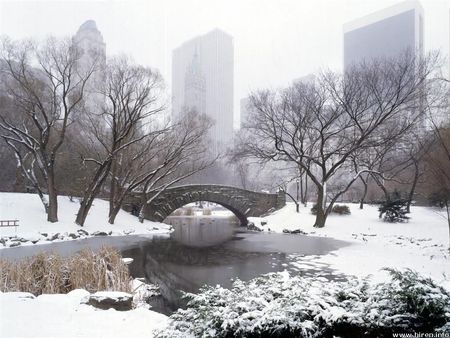 Central Park, New York - trees, winter, snow, city, new york, buildings, park, bridge