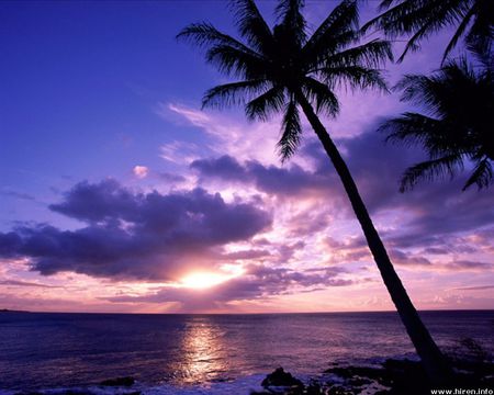 Tahitian Paradise - paradise, island, palms, sunset, calm ocean, tahiti