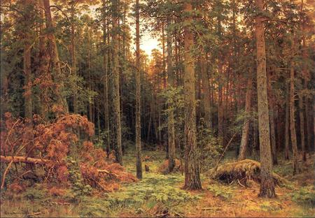 Ivan Ivanovich Shishkin 1885. 'Piny wood.' - nature, painting, art, woods, pine trees