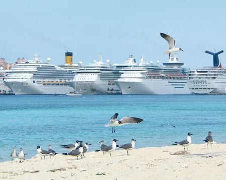 Cruise ships-Nassau - white, seagulls, blue, water, ships, sand