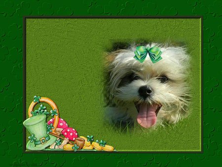 IRISH PUP - shamrock, top hat, green, irish, dog, bow