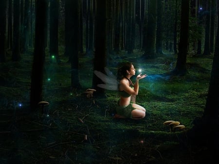 Midnight Magic - female, mystical, girl, mythical, forest, magical, dark, fantasy, woman, fairy