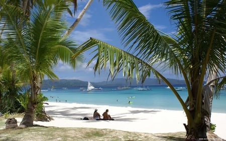 Beach Paradise - nature, palm trees, ocean, beach, paradise, tropical