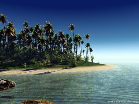 Paradise Island - nature, palm trees, ocean, beach, paradise, island, tropical