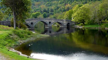 Quaint Bridge - lake, bridge, forest, grass