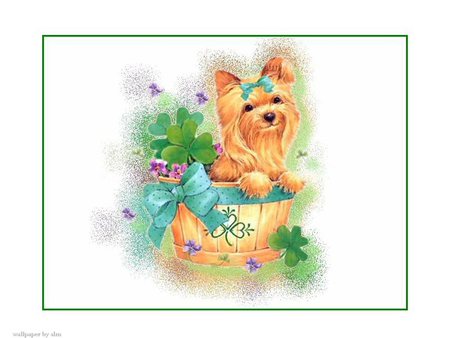 dog is basket for st patty - st patty, st pats, irish, dog, yorkey, shamrocks