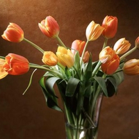 Vase of tulips