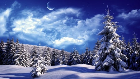 snowy-wonderland - sky, trees, mountain, snow, scene