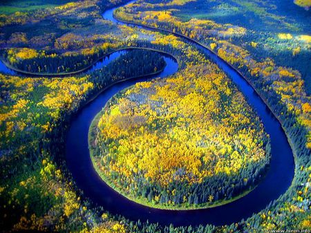 Swirling Waterway - blue water, circular, forest, river