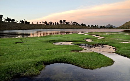 Grass And Lake - lake, grass