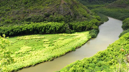 River Across The Mountain - trees, mountain, water, creek, nature, reflection, river, green, grass