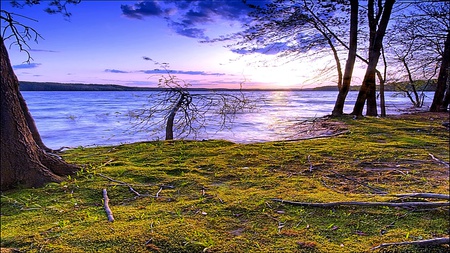 Within - trees, ray, blue, grass, mountain, brightness, green, lakes, sky