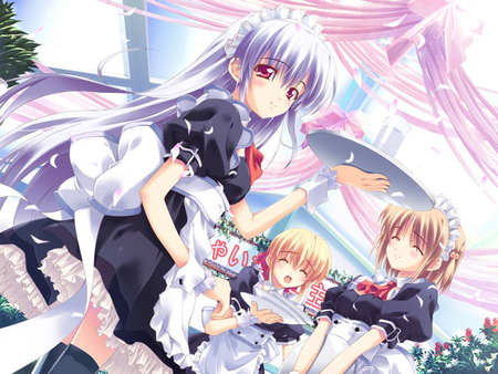 Maid Girls - anime, anime girl, female, hot, food, girl, maid, drink, girls, cute, sexy