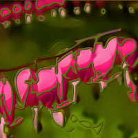 Closeup view of string of delicate  Bleeding  Hearts pop art wallpaper. jpg