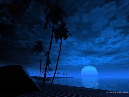 BLUSUNSET. jpg - moon water, nature, plamtrees