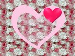 1600 rose pink love wallpaper. jpg