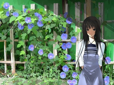 girl and flowers - beautiful, blue dress, dress, girl, long hair, flowers, green, black eyes, moe, black hair, cute, plants