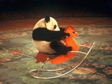 Enjoying  - picture, panda, cool