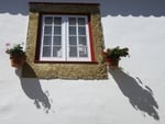 white wall and the flowers