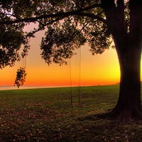 	Swinging in the sunset