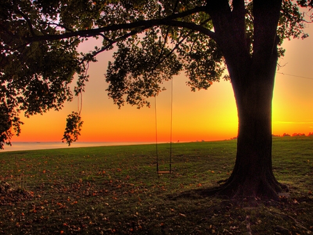 	Swinging in the sunset - swinging, sunset