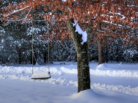 Tree Swing - swing, tree, snow