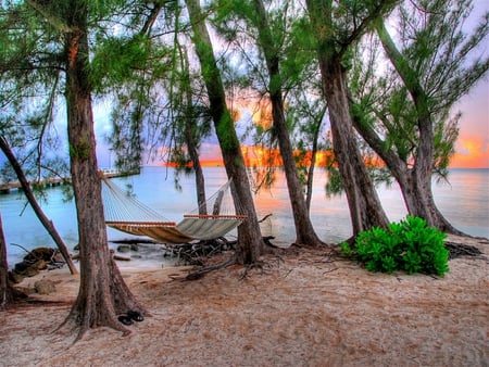 Hammock in paradise