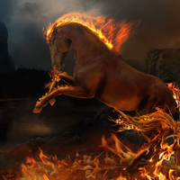 fire horse 