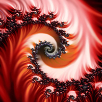 Red flower fractal