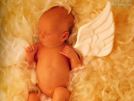 Sleeping angel in feather - wings, feather, baby, tan