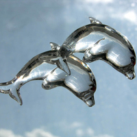 ice dolphins